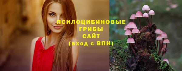 бошки Майский