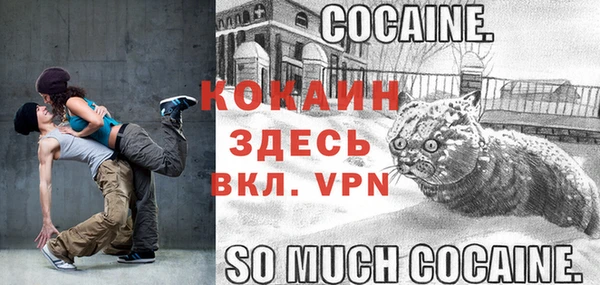 молекула духа Магадан