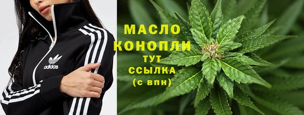 молекула духа Магадан